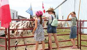 110th Maryfield Fair this upcoming weekend Horse clinic Friday with fair, horse show, and supper Saturday